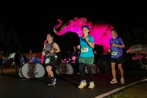 BIB: 
                            <button type="button" onclick="openModal(26544131)" class="btn btn-primary btn-sm float-right btn-popup" data-toggle="modal" data-target=".modal-high-quality">
                        <i class="fas fa-shopping-cart"></i> Add to Cart
                    </button>
                                            <button type="button" onclick="isThisMe(26544131, true)" class="btn btn-success btn-sm float-right btn-popup btn-isme hidden" data-toggle="tooltip" data-placement="bottom" title="นี่คือรูปของคุณใช่ไหม คลิกที่นี่เพื่อเอาเข้าอัลบั้ม">
                        <i class="fas fa-plus"></i> Add to album
                    </button>
                    <button type="button" onclick="isThisMe(26544131, false)" class="btn btn-warning btn-sm float-right btn-popup btn-isnotme hidden">
                        <i class="fas fa-ban"></i> Remove from album
                    </button>